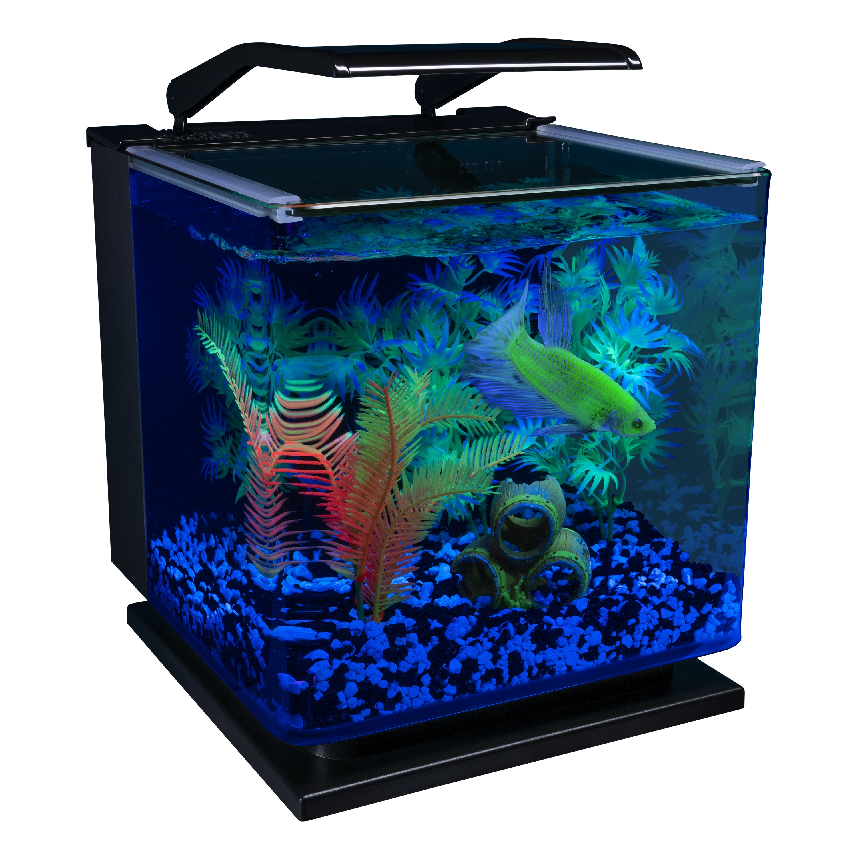 Light store glo aquarium